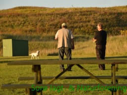 Hundetræning efterår 2016